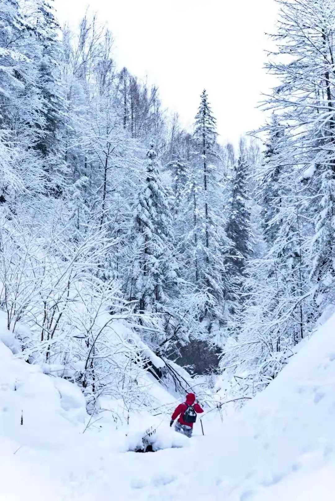 长白山北景区高山森林野雪公园盛大开板