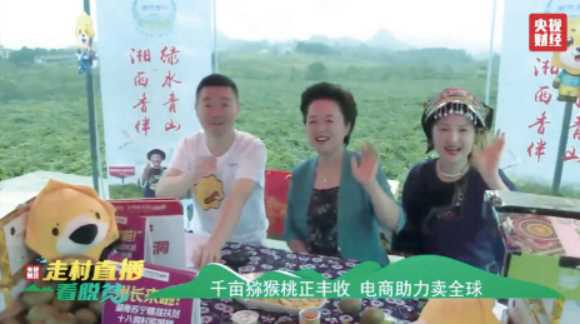 猕猴桃化身“金果果”——电商助力十八洞村飞地经济