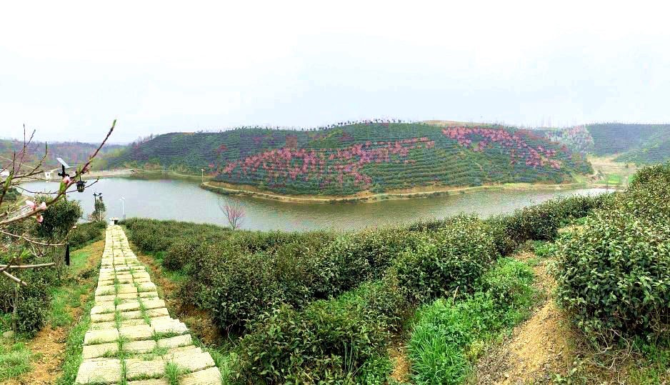 信阳发布“春季九大赏花线路”