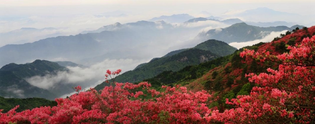 信阳发布“春季九大赏花线路”