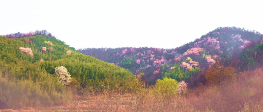 信阳发布“春季九大赏花线路”