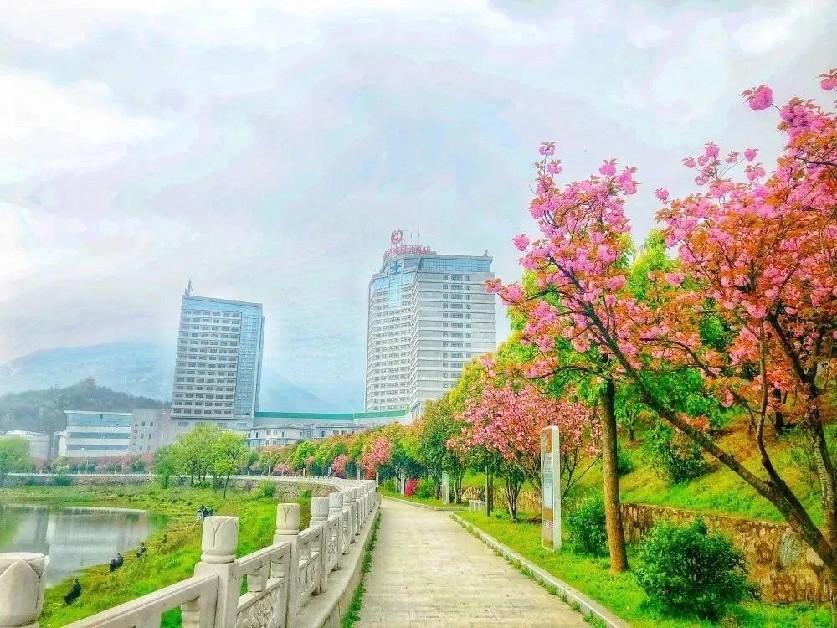 信阳发布“春季九大赏花线路”