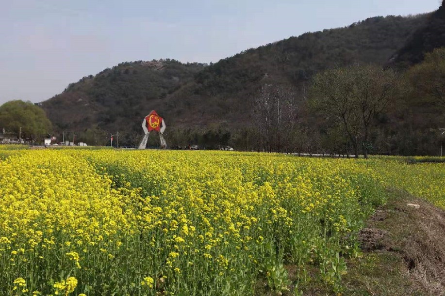 信阳发布“春季九大赏花线路”