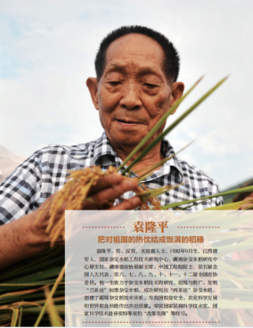 《国家功勋相册》：袁隆平——把对祖国的热枕结成饱满的稻穗