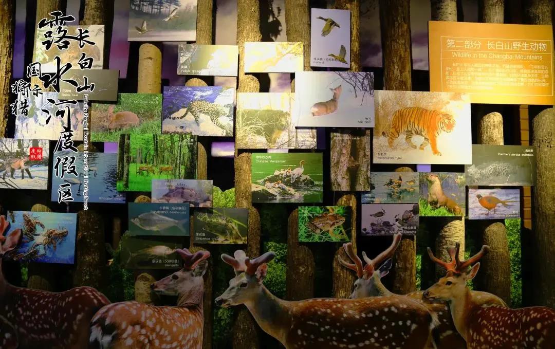 落差适中,常年水温6—8摄氏度,碧泉河作为四季恒温的矿泉河,省内唯一