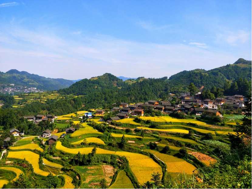 龙塘蝶变一年间从故乡到家乡